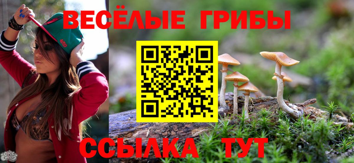 Псилоцибиновые грибы прущие грибы Воткинск