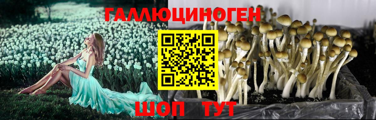 Галлюциногенные грибы мицелий  Вход с VPN  Воткинск 